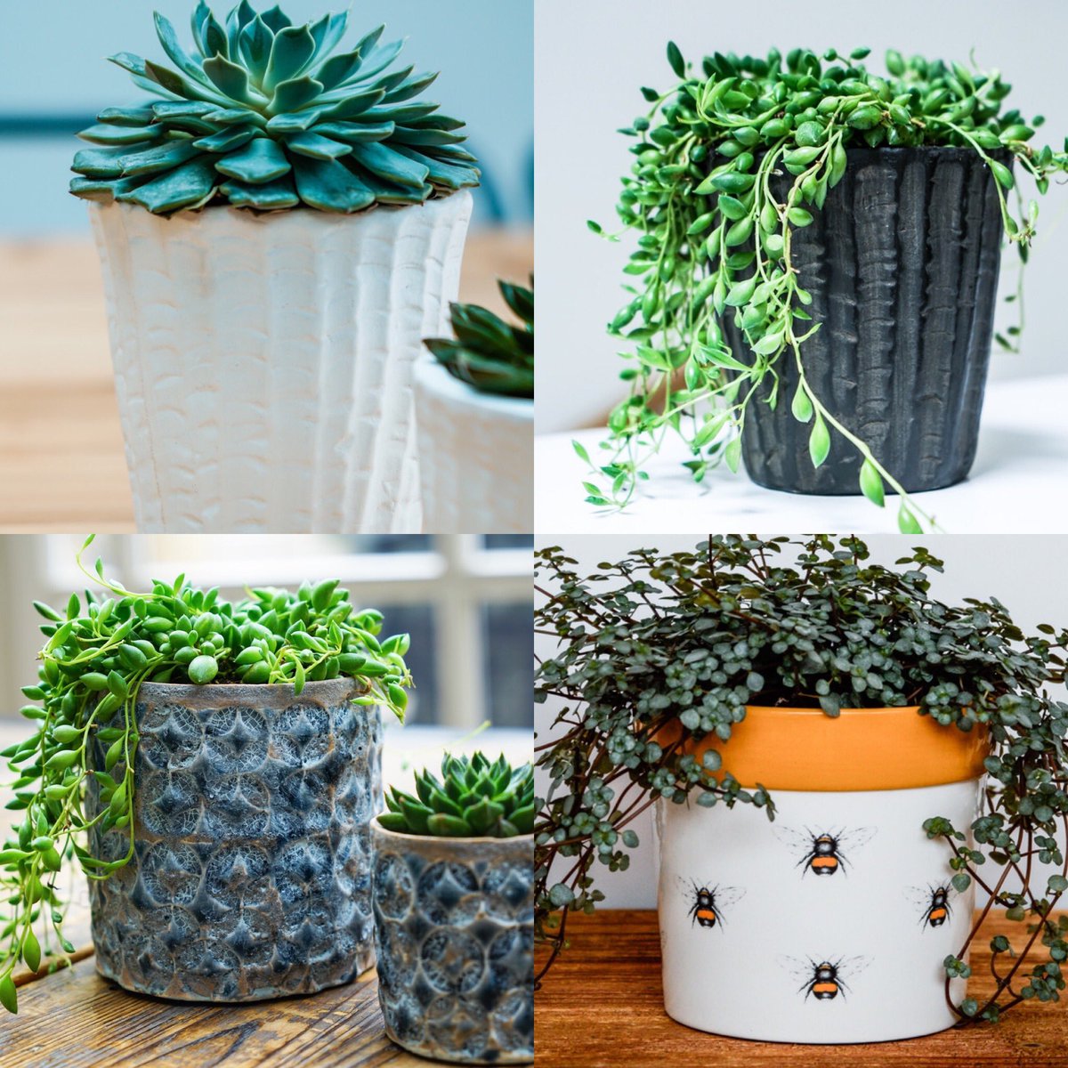 NEW #pots collection #interior_design #wholesale #ceramics #plants #interiorstyling in stock now 🙌
