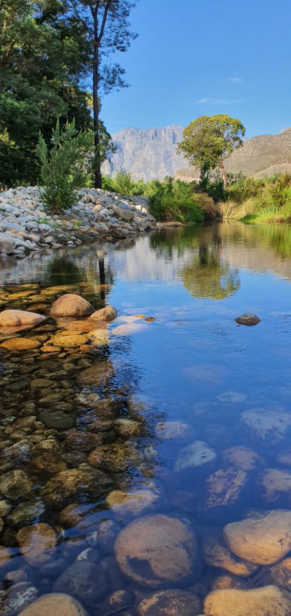 Edelweiss_Delp's tweet image. The beautiful setting at the stream at #LaFerme #Franschhoek @trufflejournal Enjoyed the gin, thank you! @SugarbirdGin @clemengold_gin