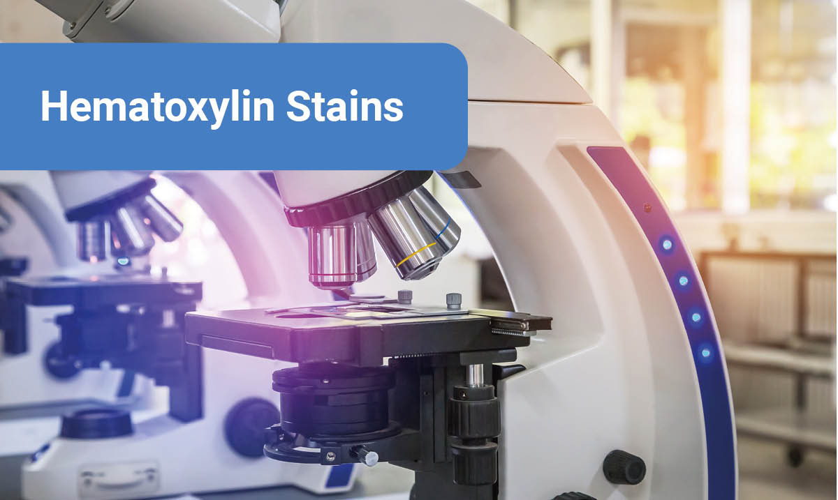 ITWReagents's tweet photo. Put the right color on your histological samples with #PanReacAppliChem Hematoxylins. Learn more at https://t.co/EcbAXT7Rto
#Hematoxylin #HematoxylinEosin #Histology #Cytology
#ClinicalDiagnostics #NucleiStainning #TissueProcessing #Biopsies #HarrisHematoxylin #Papanicolaou https://t.co/8cYCvAgH3v