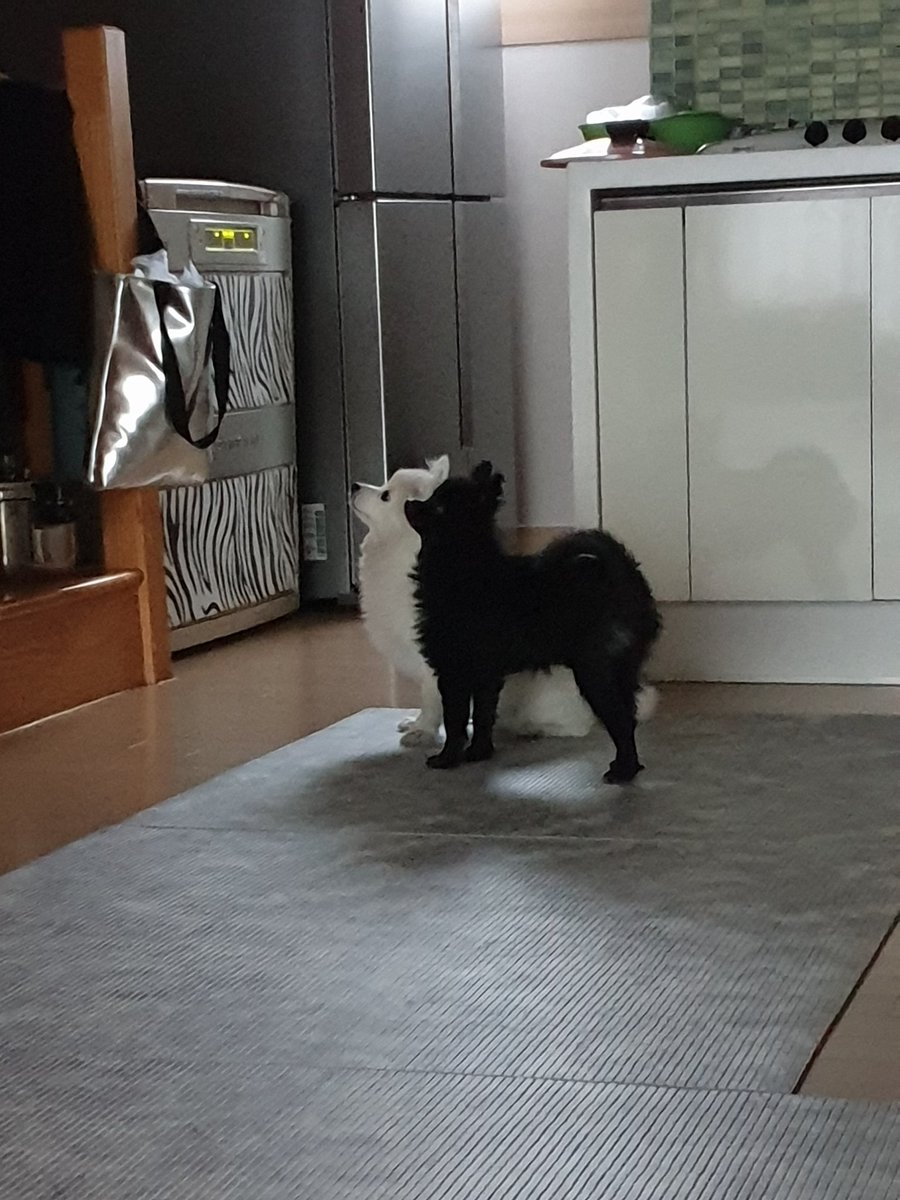 hh_0501's tweet image. 빛과 그림자냐고ㅋㅋㅋㅋㅋㅋㅋ
ㅋㅋㅋㅋㅋㅋㅋㅋㅋㅋㅋㅋㅋㅋ