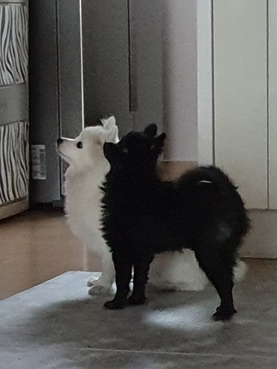 hh_0501's tweet image. 빛과 그림자냐고ㅋㅋㅋㅋㅋㅋㅋ
ㅋㅋㅋㅋㅋㅋㅋㅋㅋㅋㅋㅋㅋㅋ