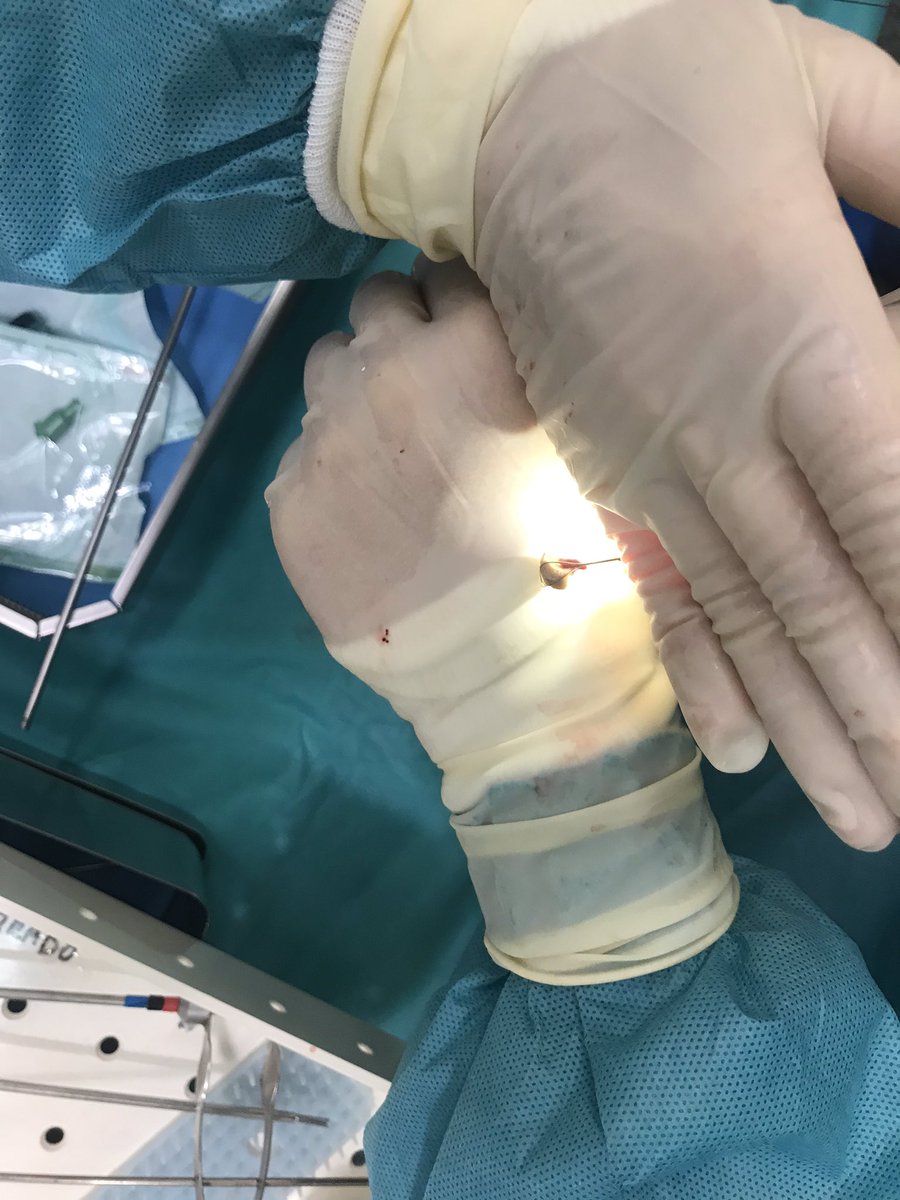 celiacookuro's tweet photo. Endourology Workshop in Hospital Río Hortega.Thanks @drmarcoscepeda @CoralManso @cookuro.
We keep promoting education! https://t.co/xlTKO44zrD