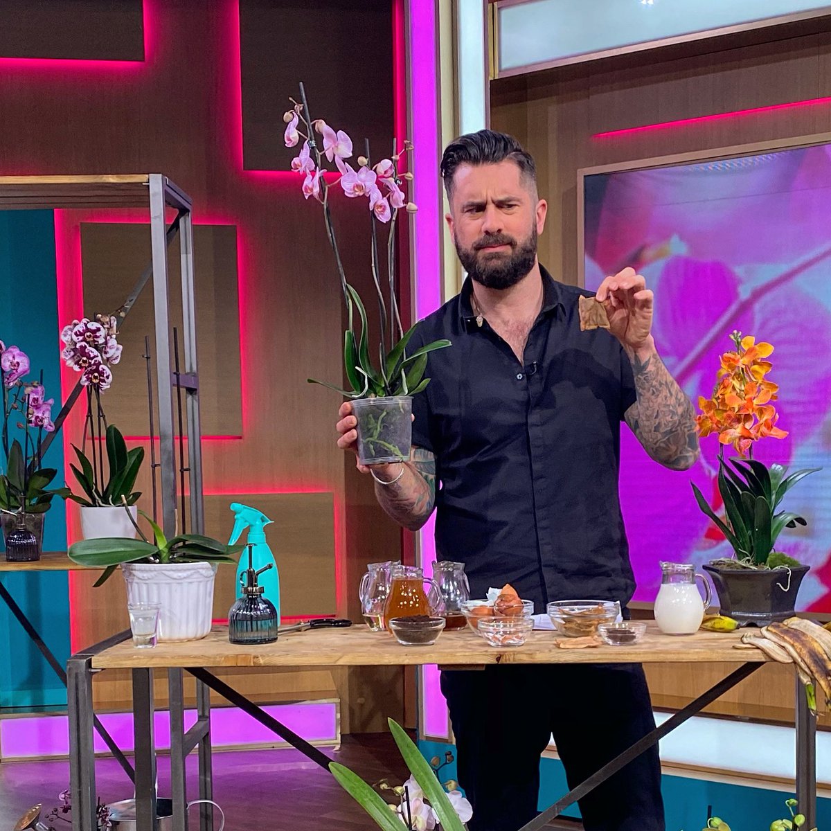 Would you teabag an orchid?? 💡 Thanks for joining me on <a href="/thismorning/">This Morning</a> today for our Orchid Masterclass! 👨‍🏫 #ThisMorning