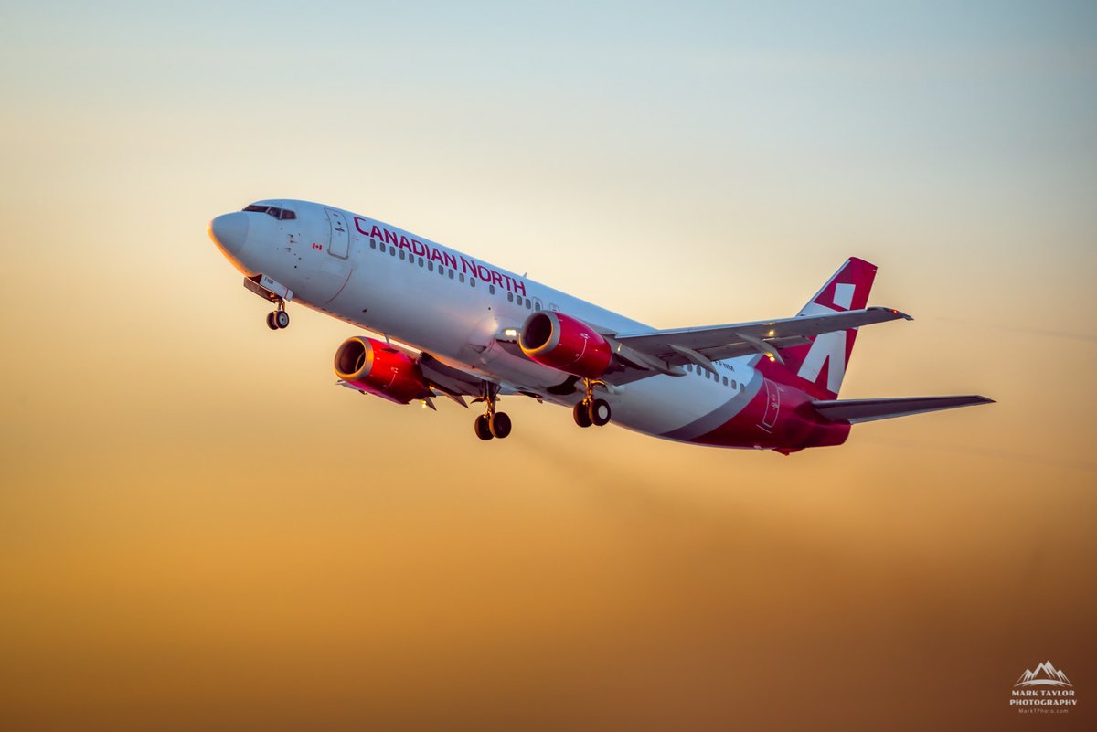 Mark Taylor tweet media