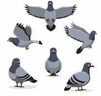 Win10Transports's tweet photo. @Dan2_2023 @2pintsoftware Yes, LEDBAT is avian friendly. https://t.co/x7X0owCIhA