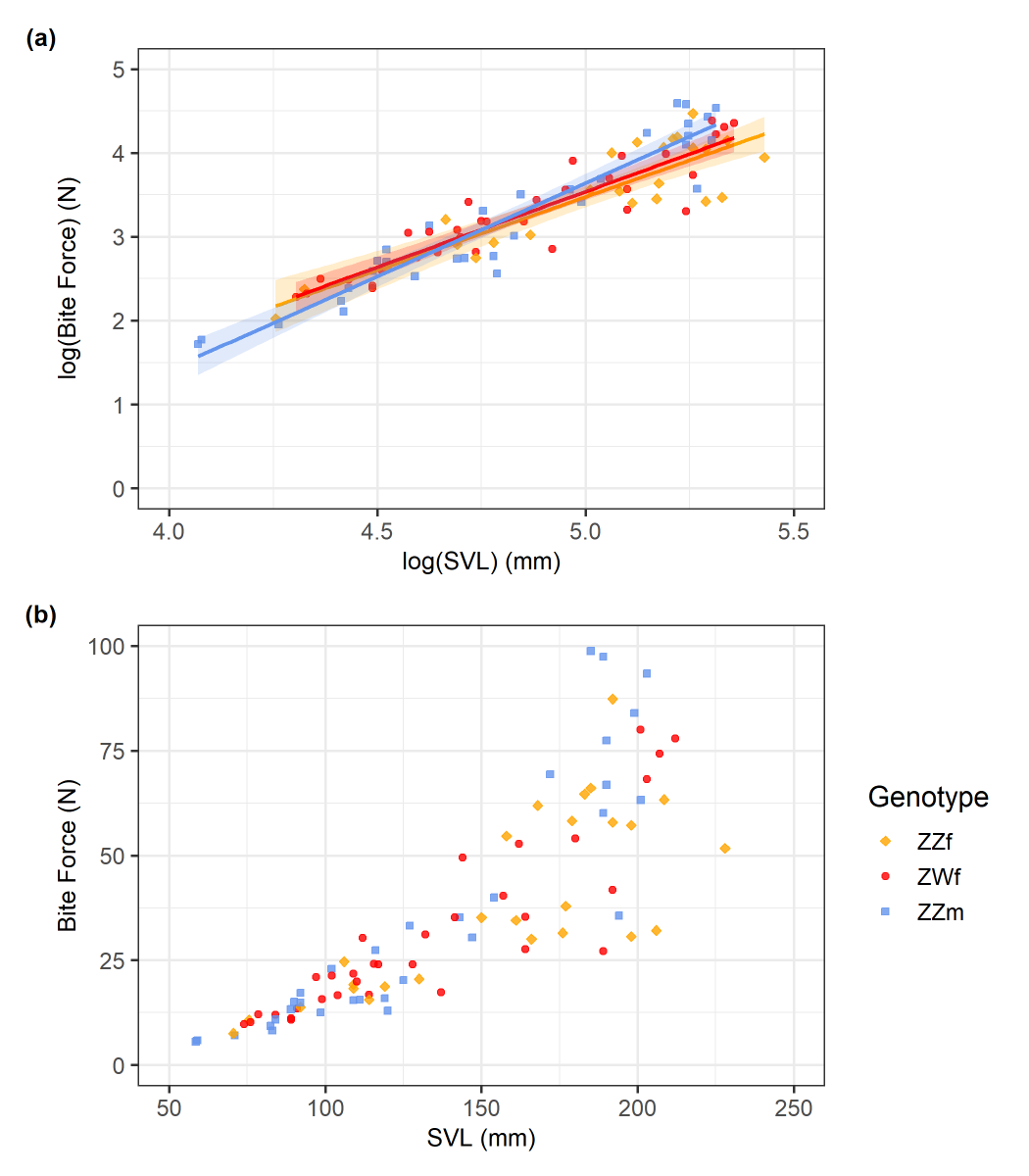 MarcEHJones's tweet photo. Bite-force in bearded dragon lizards reflects sexual phenotype not chromosome complement: concordant females (ZWf) and temperature induced sex-reversed females (ZZf) lack the greater bite-force and larger heads of males (ZZm) | #Pogona #agamidbiteforce | https://t.co/yiz13CR6F6 | https://t.co/O8Ic09lCDw