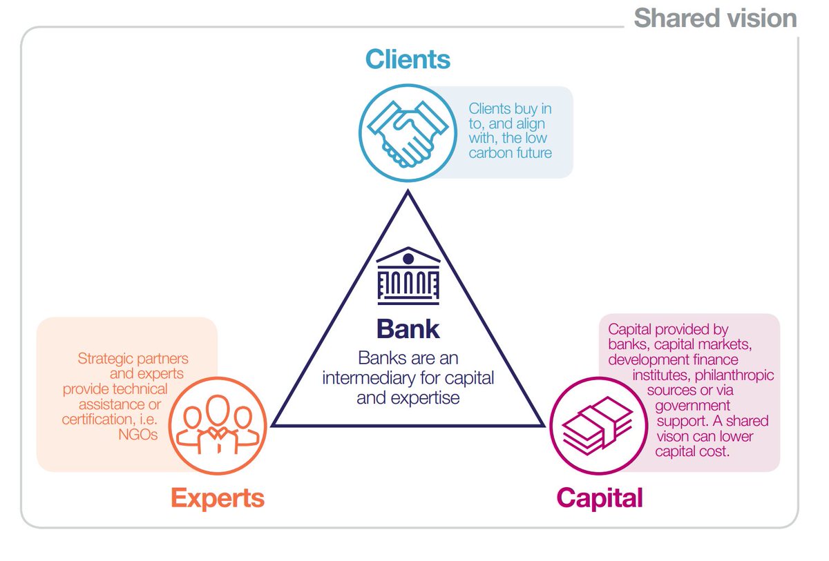EBFeu's tweet photo. 🌡️ How does a climate progressive bank look like? Find out how bank pioneers are transforming and supporting the energy transition -#Bank2030 vision paper by @cisl_cambridge #SusFinEU https://t.co/yzumUwblDP https://t.co/fdYCa8PSBG