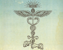 Some random facts 4 you:- The human body is 33% "solid" & 67% water - The human spine has 33 vertebra- Jesus was crucified after 33 years of life at Golgotha (latin for "place of the skull)- There are 33 degrees of Freemasonry ------ These all describe the same thing