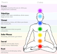 So yeah, I am saying what you think I'm saying:Our bodies are mini Tesla towers/PyramidsThey are tuning rods built specifically to access the omnipresent, all-knowing ether (fuck 5g lol)Let's continue to dive deeper, how is this system broken down?Mainly into 7 chakras:
