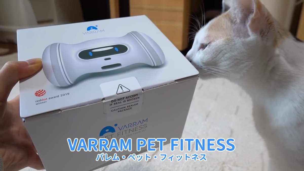 loiovoiol's tweet photo. 🐸 へーペット用ロボットなんだ?!面白いね(◦ˉ ˘ ˉ◦)
🤖 動画に出てくるのは、お値段1万円超えてるようですが、その分多機能デスネ~
🐸 これにゃんこ目線だとどう映ってるんだろ?気になるね(ΦωΦ)
🤖 すぐ飽きないか心配ですネ(;^ω^)
#ペット専用ロボット #VARRAM https://t.co/6tQMNIxGjR