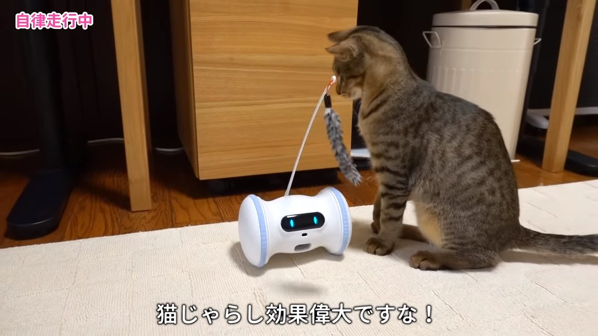 loiovoiol's tweet photo. 🐸 へーペット用ロボットなんだ?!面白いね(◦ˉ ˘ ˉ◦)
🤖 動画に出てくるのは、お値段1万円超えてるようですが、その分多機能デスネ~
🐸 これにゃんこ目線だとどう映ってるんだろ?気になるね(ΦωΦ)
🤖 すぐ飽きないか心配ですネ(;^ω^)
#ペット専用ロボット #VARRAM https://t.co/6tQMNIxGjR
