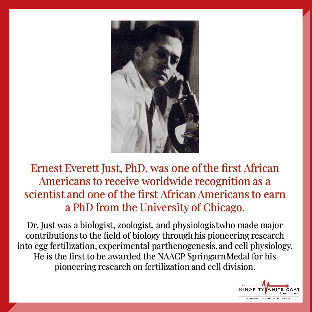 For #BlackHistoryMonth, we are honoring Ernest Everett Just, PhD, one of the first African American to receive worldwide recognition as a scientist. #MWCFoundation #minoritiesinscience #scientist #blackmeninstem #blackscientist #minoritiesinstem #gradschool #phd #phdlife #science