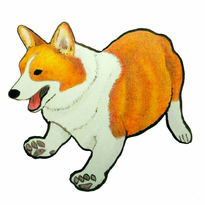 Ao A Twitter 駆け出すコーギー コーギー アナログ コーギーイラスト コーギー大好き 犬の絵 イラスト 柯基犬 絵描き人 イラスト好きと繋がりたい Corgi Art Dogart Illustration