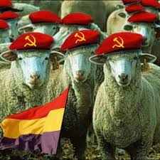 ATOPOLO's tweet photo. @XPUCTUHA1 @Confiesa1 @AdelanteAND Tú lo has dicho: "lAnimalicos...!" https://t.co/MMiDbLqrUc