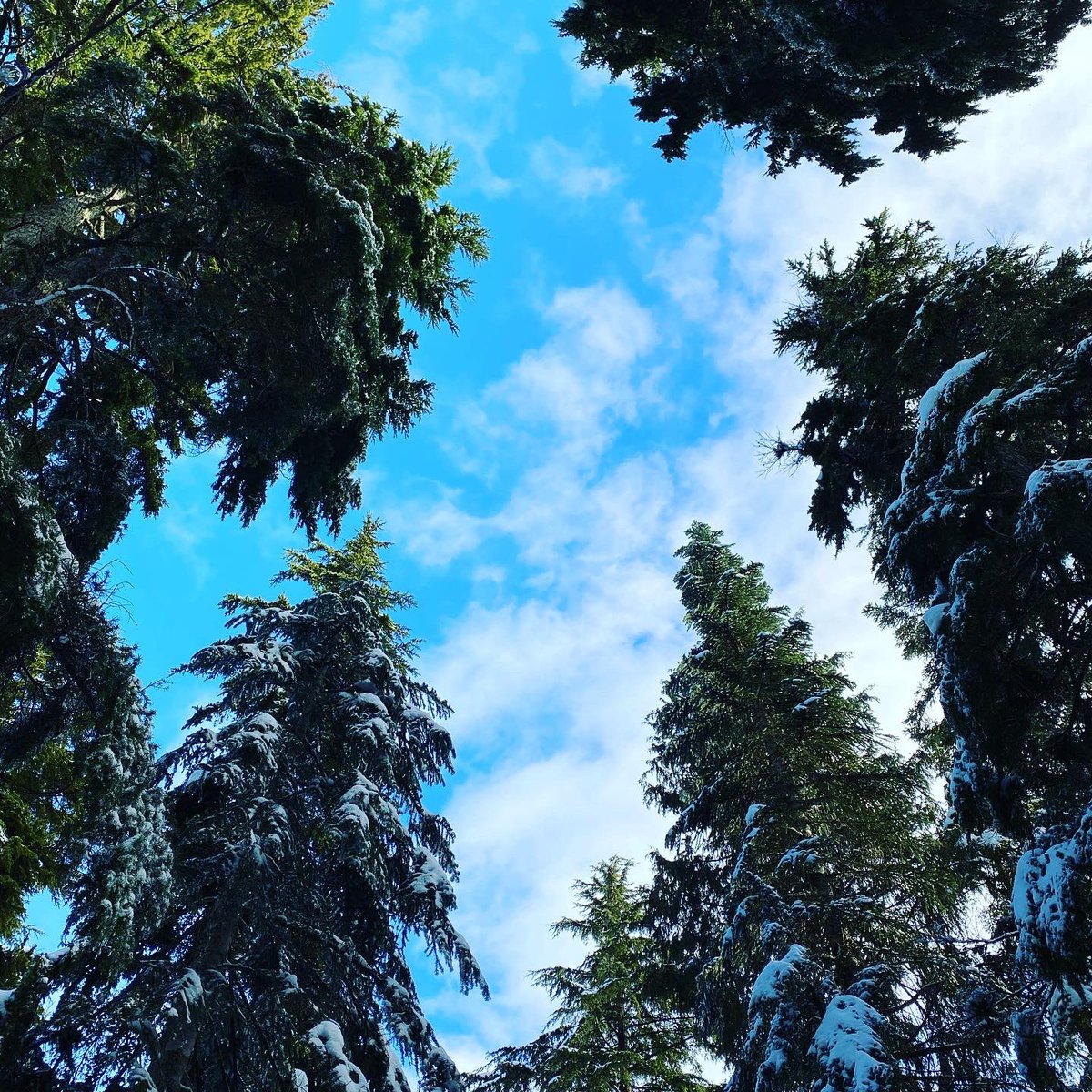 Reset on the west coast #wearewinter ⁦⁦@Cypressmtn⁩ #Canada