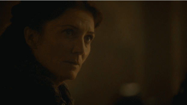 Which Cottage tweet media