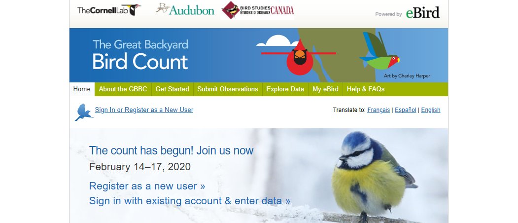 BirdsCanada's tweet photo. The Great Backyard Bird Count is on now through Monday! There's plenty of time to join in. Visit https://t.co/v0JgGSHSom to register for a free account &amp; see how to get started! #greatbackyardbirdcount #GBBC2020 https://t.co/z5MXSHJRP4