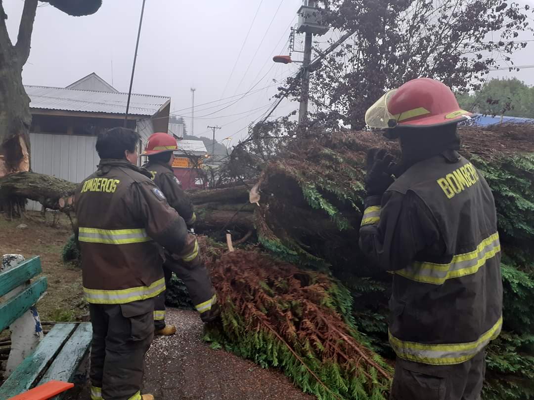 Corte de luz en gran parte de la ciudad de Quemchi por caida de arbol ennpleno centro avenida Pedro Montt <a href="/saesa/">Saesa</a> <a href="/twbbptomontt/">BioBio Puerto Montt</a>