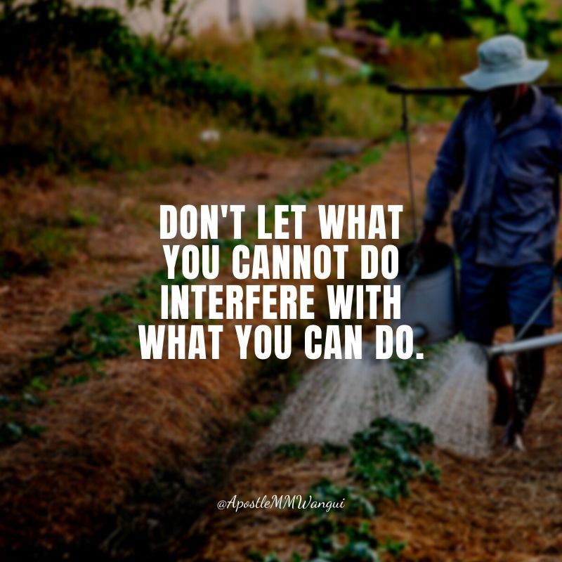 ApostleMMWangui's tweet photo. Don't let what you cannot do interfere with what you can do

#SalvationSaturday 

#SocialSaturday
#ShoutoutSaturday
#SaturdayStyle
#SaturdaySpecial
#SaturdayMotivation
#SaturdayThoughts https://t.co/cnKv0jMOvd