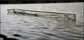 Denis Hynes tweet media