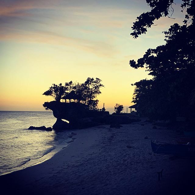 diveaholics's tweet photo. #sundowner https://t.co/AxKY8PLtg9 https://t.co/CLG9VpUCvu