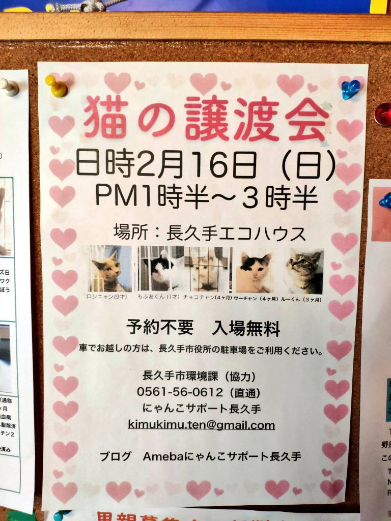 猫カフェなーご 愛知 長久手 14周年 お知らせ 明日 2月16日 日 は にゃんこサポート長久手 主催の猫の譲渡会を 長久手エコハウスにて開催しまーす 当店からはキジチャン兄弟とくぅちゃんが行きます 前回11月は40名超の見学者様がお見えにな