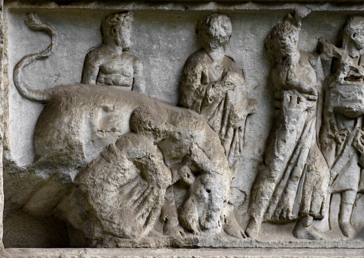 Spurinna is clearly disturbed by this bull with no heart. Cries from the crowd: how could this beast have lived without a heart? What does this portent mean? After a whispered conversation with his diviner, Caesar announces the sacrifice will be re-attempted tomorrow.  #Liveides