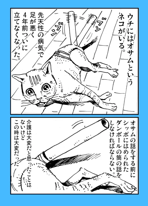 「100歩だけ歩いたねこ」〜シッポの話〜 #猫漫画 #猫の介護 