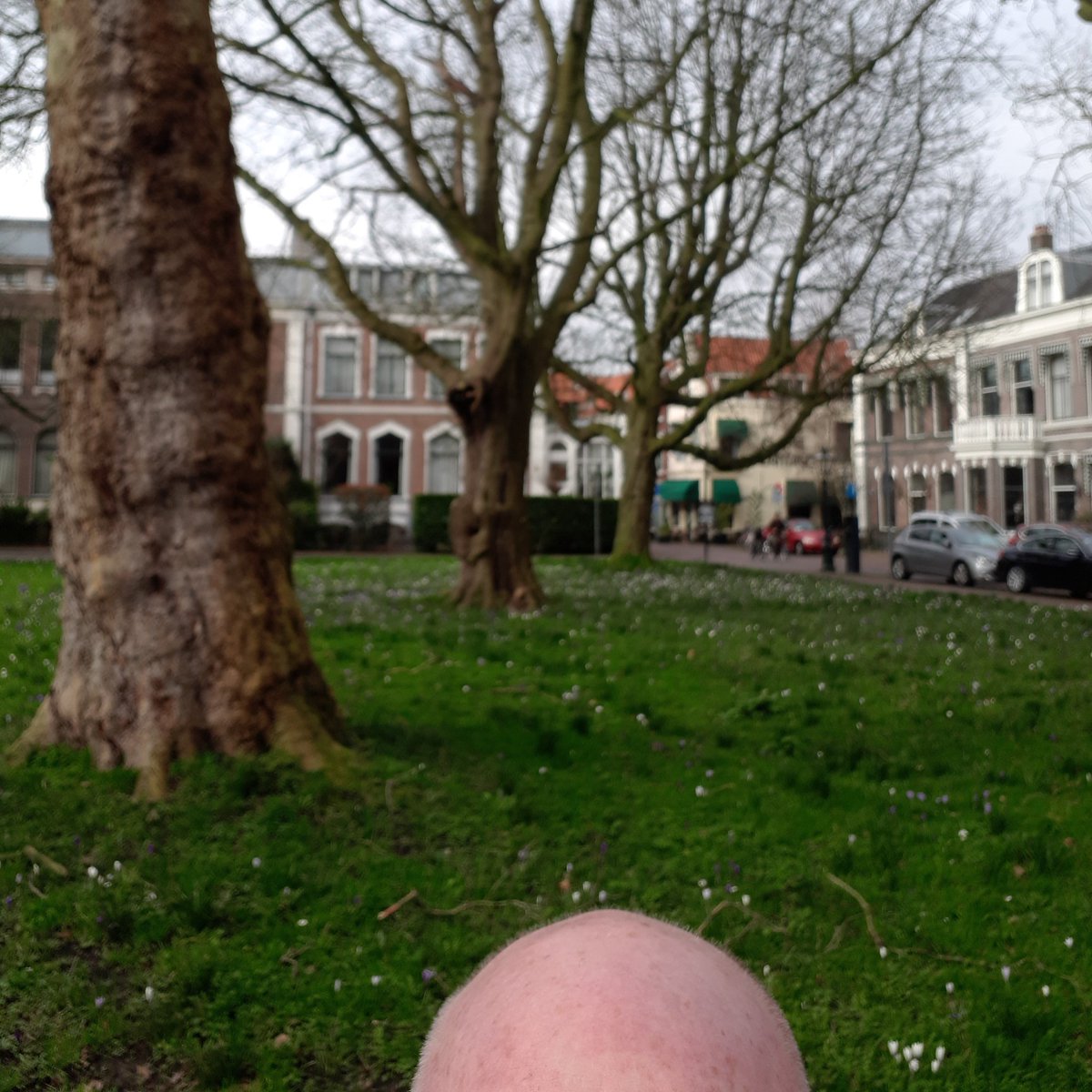 FransSch1's tweet photo. Selfie in Leiden https://t.co/bjN3DiCFCr