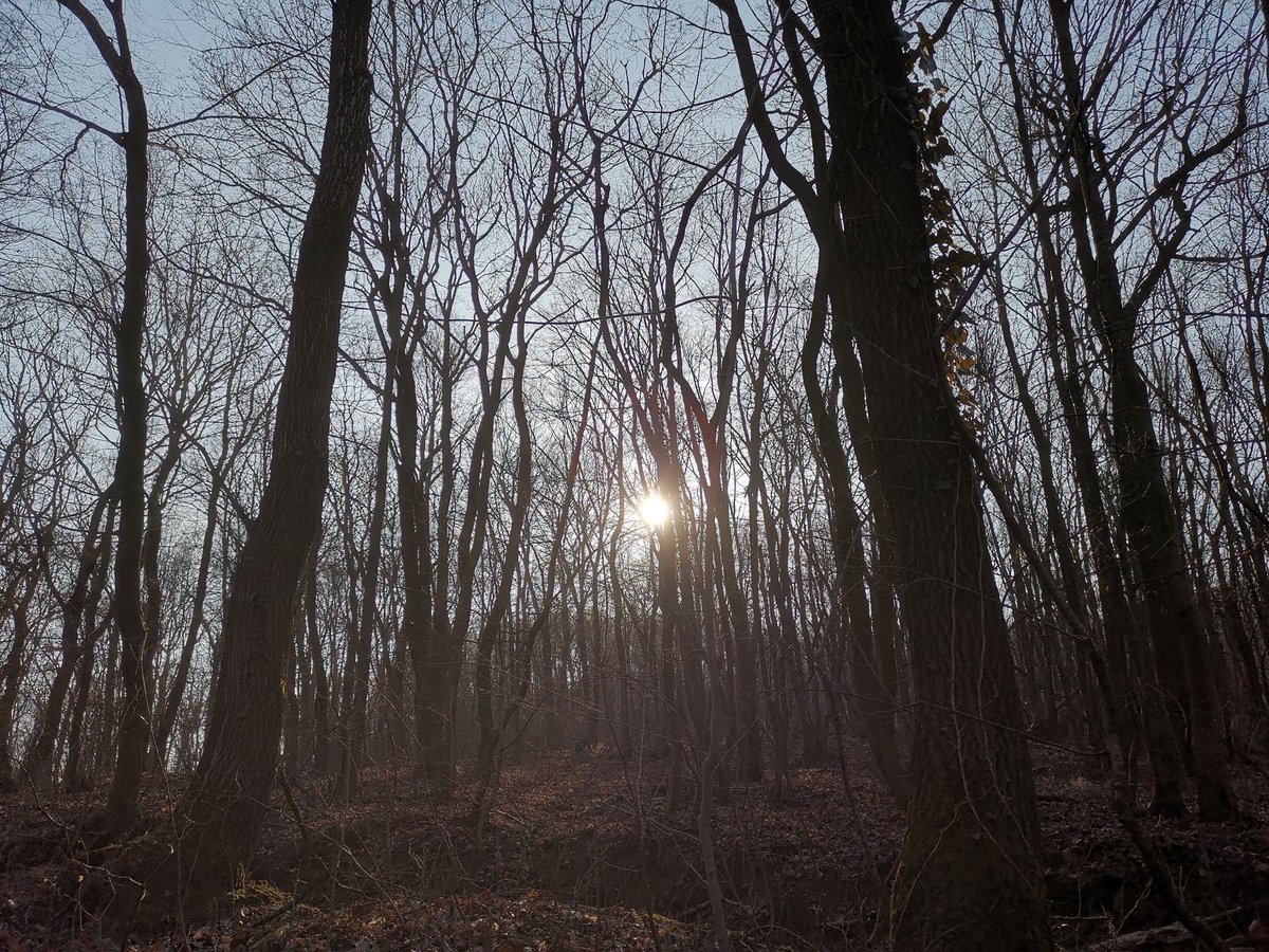 GPpunkt tweet picture