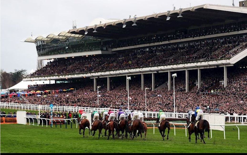 frankbetting's tweet photo. 8 Club Enclosure tickets for #cheltenhamfestival (two for each day) to giveaway 

To enter 📲 

1️⃣Follow @frankbetting 
2️⃣Tap 'Like' ❤️ &amp; RT♻️ 

#cheltenham #bets #tips 
✅Thats it, you are now entered for the draw✅ 

No 1 Cheltenham Guide 

Thanks to @godolphin &amp; @RandoxHealth https://t.co/JPbgqjummv