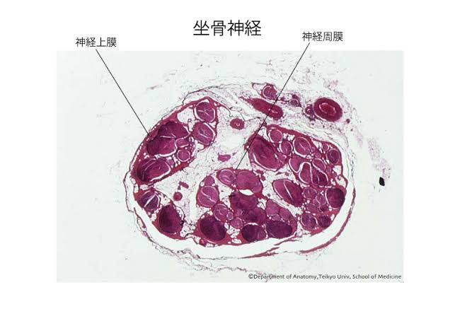 タムバーチャル医療従事者 on Twitter
