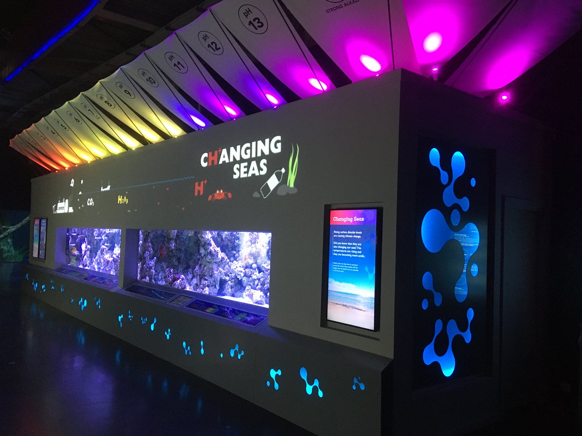 The #NewExhibit 'Changing Seas' @thedeephull is open from today! Stunning result of months of hard work by the #team & an amazing #collaboration. Thank you for letting me inspire you and for making our research integral part of this great display! @EEIatHull @UniOfHull #proud