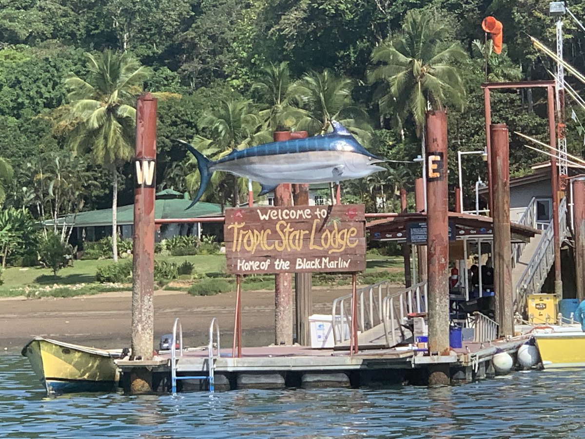 Here's a new video fishing report. It's an offshore extravaganza...Black Mariln. Blue Marlin. Sailfish. Dorado. Yellowfin Tuna. Tropic Star Lodge youtu.be/h87Q6E4gBKw via <a href="/YouTube/">YouTube</a>

#fishing #panama #drguyharvey #ShimanoNorthAmericaFishing #HukGear #YETI #kingsailfishmounts