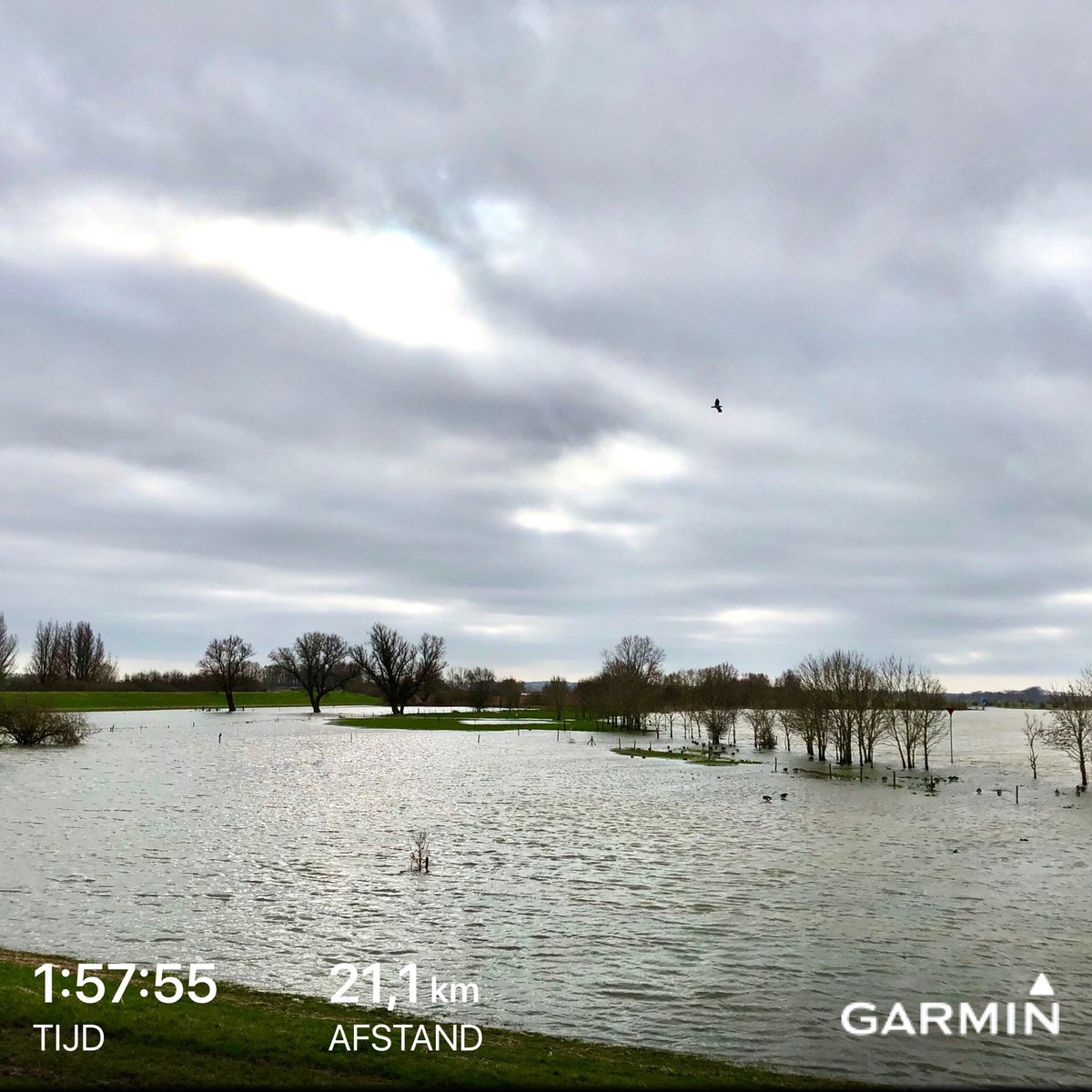 21k dijken kijken 🏃🏻‍♂️🤔 #hoogwater #ijssel #zwolle #hardlopen