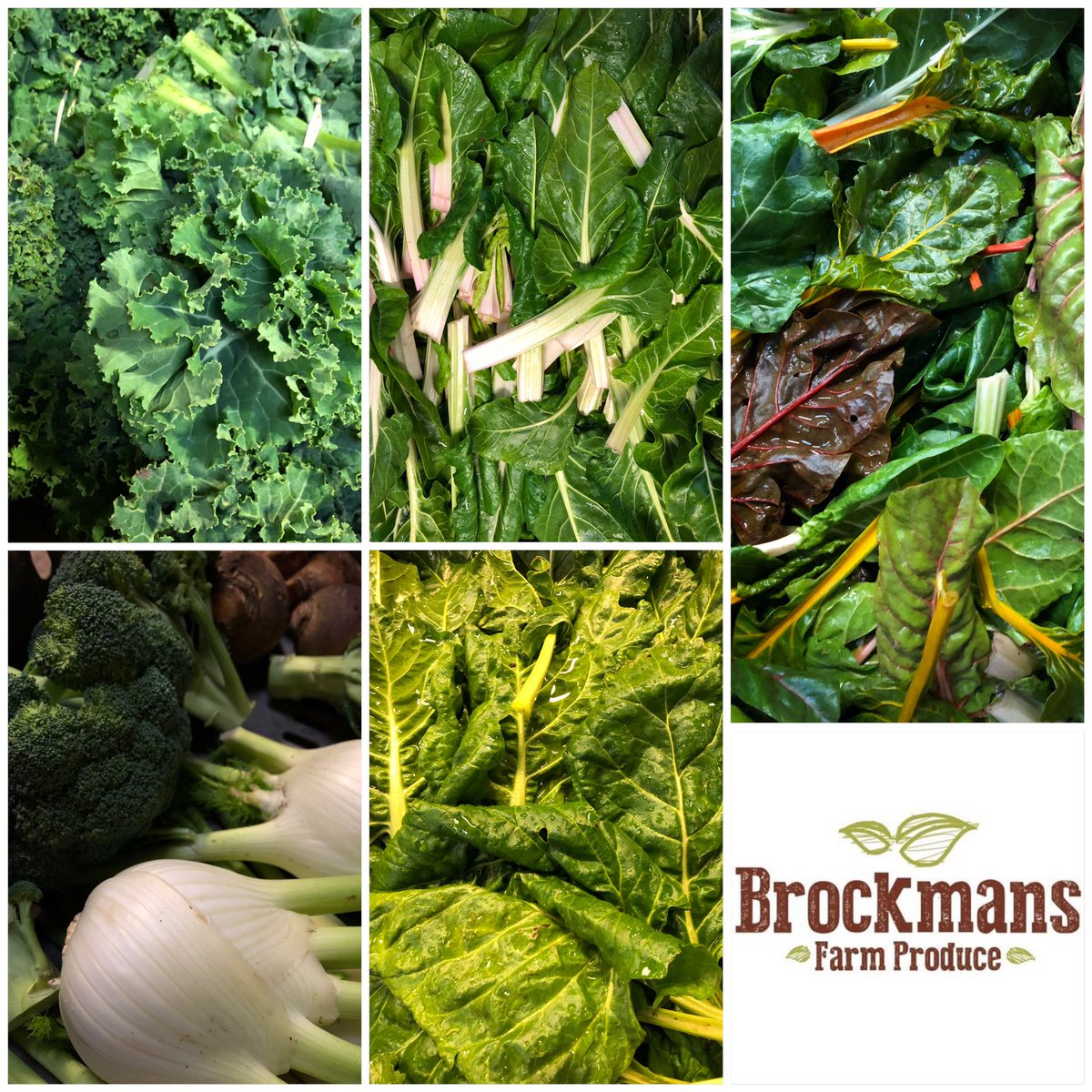 We invite you to our organic farmers markets in London. Every Saturday and Sunday. Vegetables and Fruits.