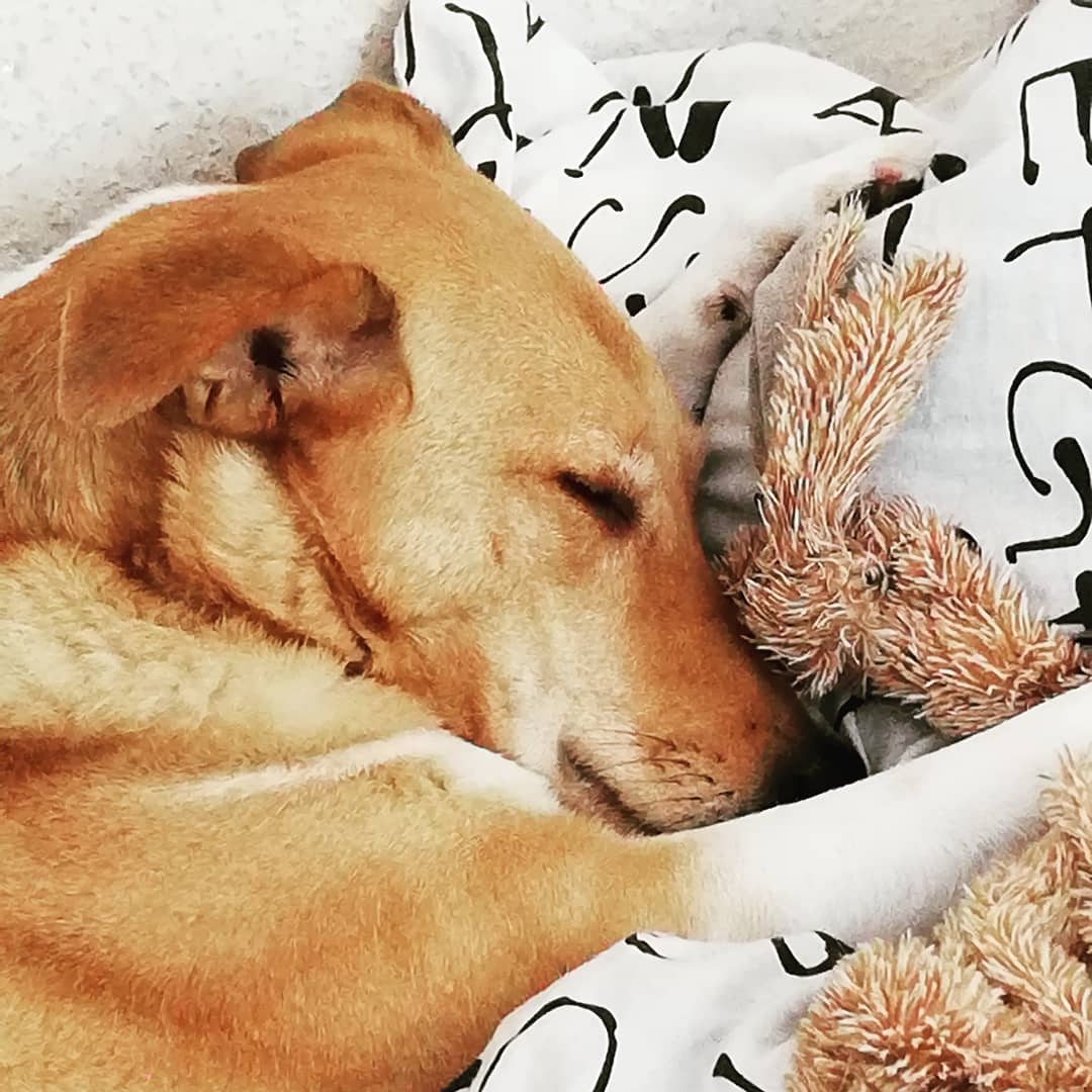 Kuschelzeit...