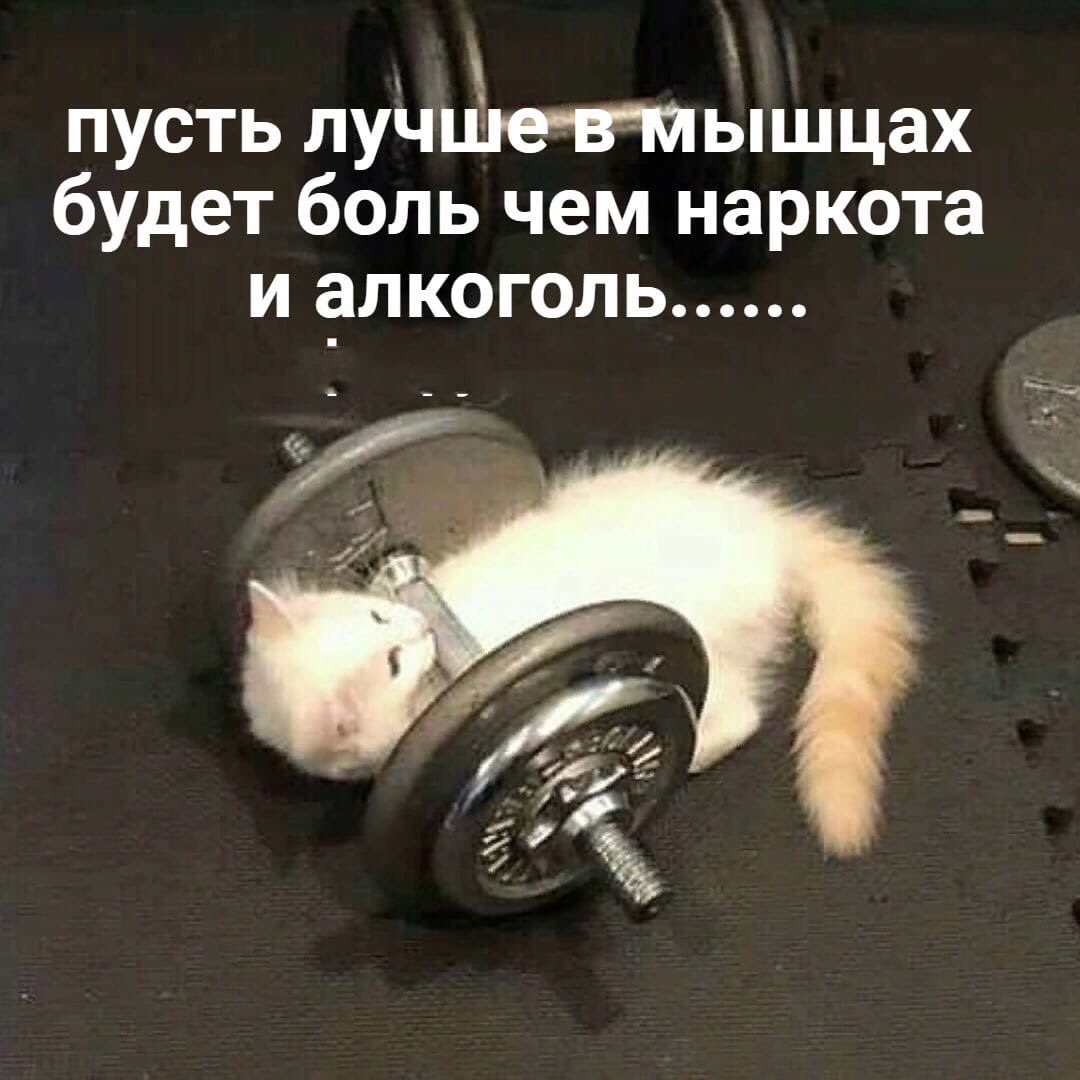 arouselm's tweet photo. @raybymay https://t.co/2p66Leb2rX