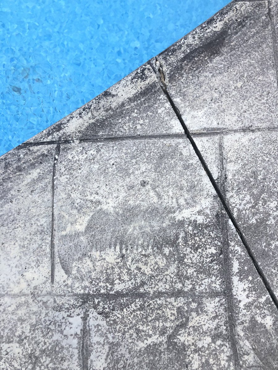 DecoConcDesign's tweet image. #notourwork Don’t hire a lazy or incompetent contractor! This is what you’ll get!