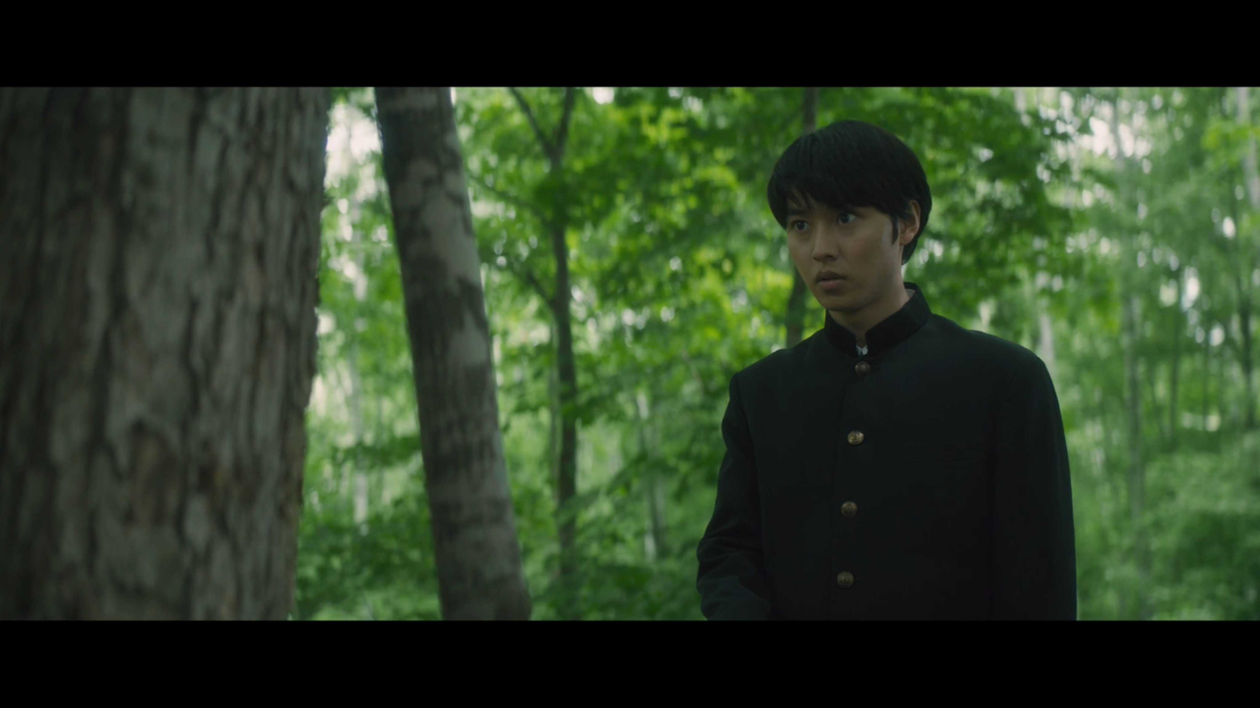 Kouichi V Twitter Natsmiya すぐ分かったよ このまえ観たばかりの 3d彼女リアルガール で つっつん筒井光 役の 佐野勇斗 さんが外村君の弟役 同じく 綾戸純恵 役だった 上白石萌歌 さんが 羊と鋼の森 では双子ちゃんの佐倉由仁 役 これは