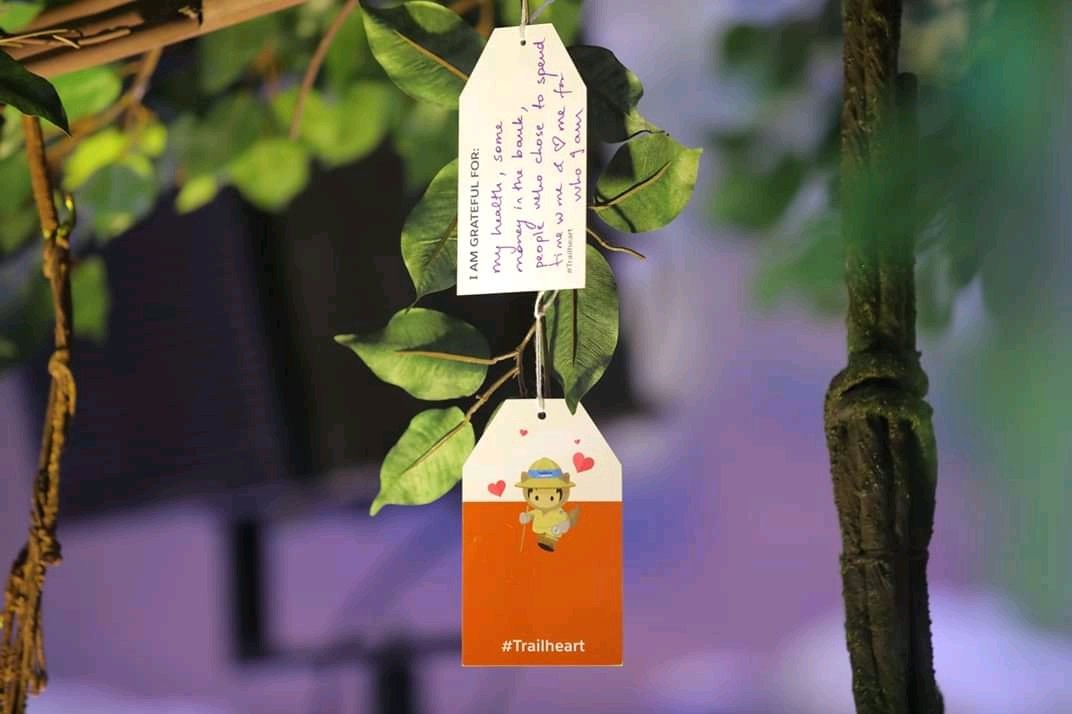 Carefully crafted Tree of Gratitude for one of our client and was amazed to watch while people expressed their emotions.

#shareyourgratitude #page3entertainments #agencylife #events #corporateevents #experentialevents #lovewhatwedo