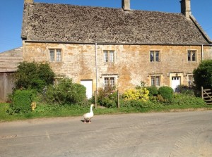 Solo Trekker 4 U joins Rick Steves in loving the Secret Cottage, a Trip Advisor 5-star day tour for 8 MAX. Book today and be the next “sleuth” to discover Cotswold’s hidden villages. bit.ly/2r0Bsyu
