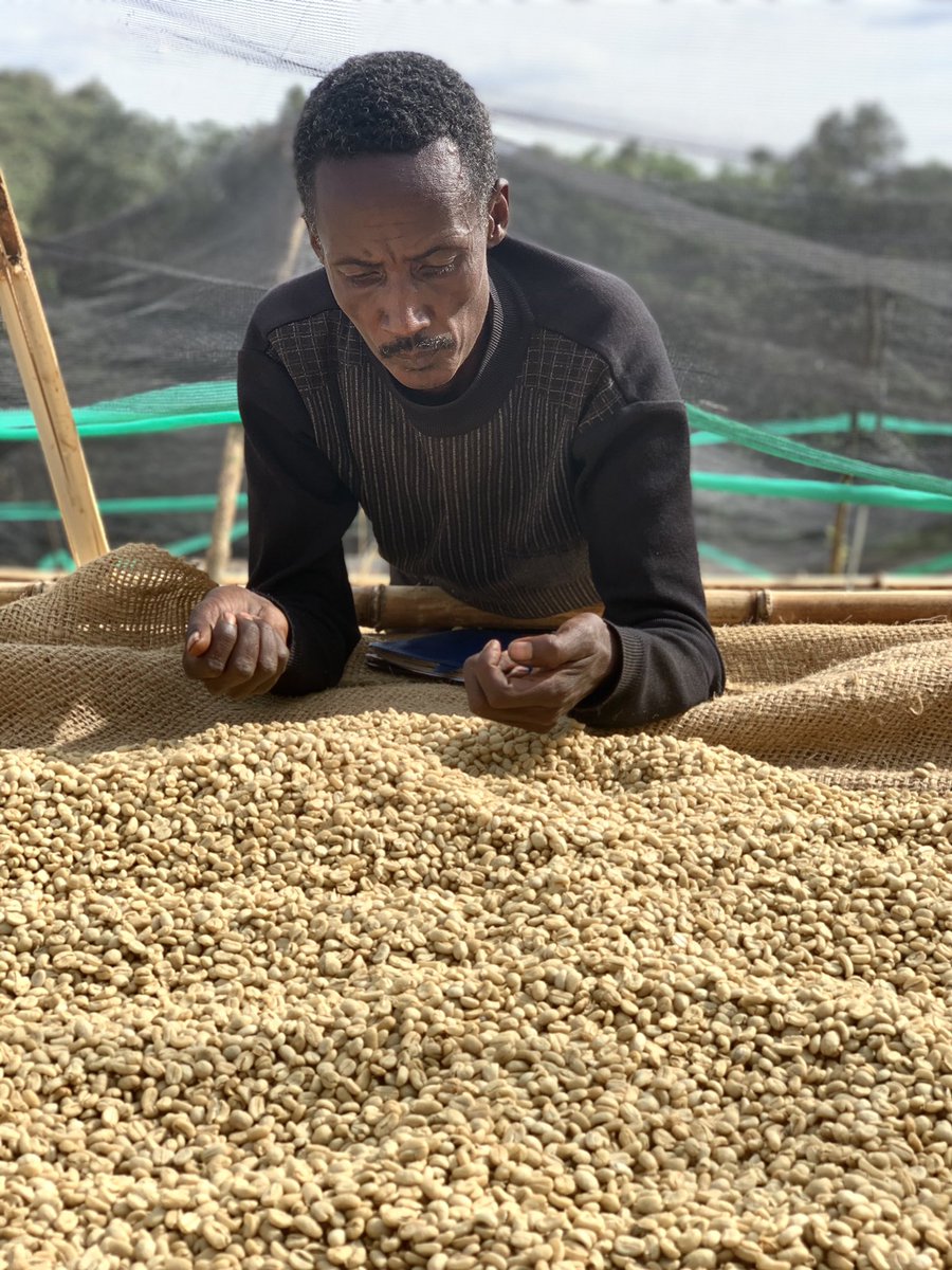 The Barn Thebarnberlin Twitter