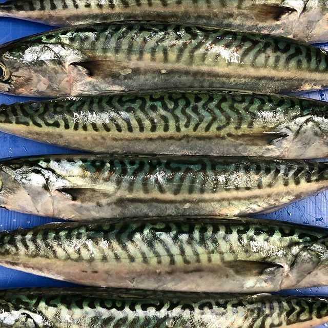 Come and take shelter from #stormdennis 🌪 We’ve got good food, good beer, everything you need for a day like this 🌧
If you’re up for a boogie we’ve got a DJ from 9pm...
.
.
.
.
.
#londonpub #peckhampub #cosypub #peckham #se15 #pubgrub #sustainable #m… ift.tt/2wfdGAY