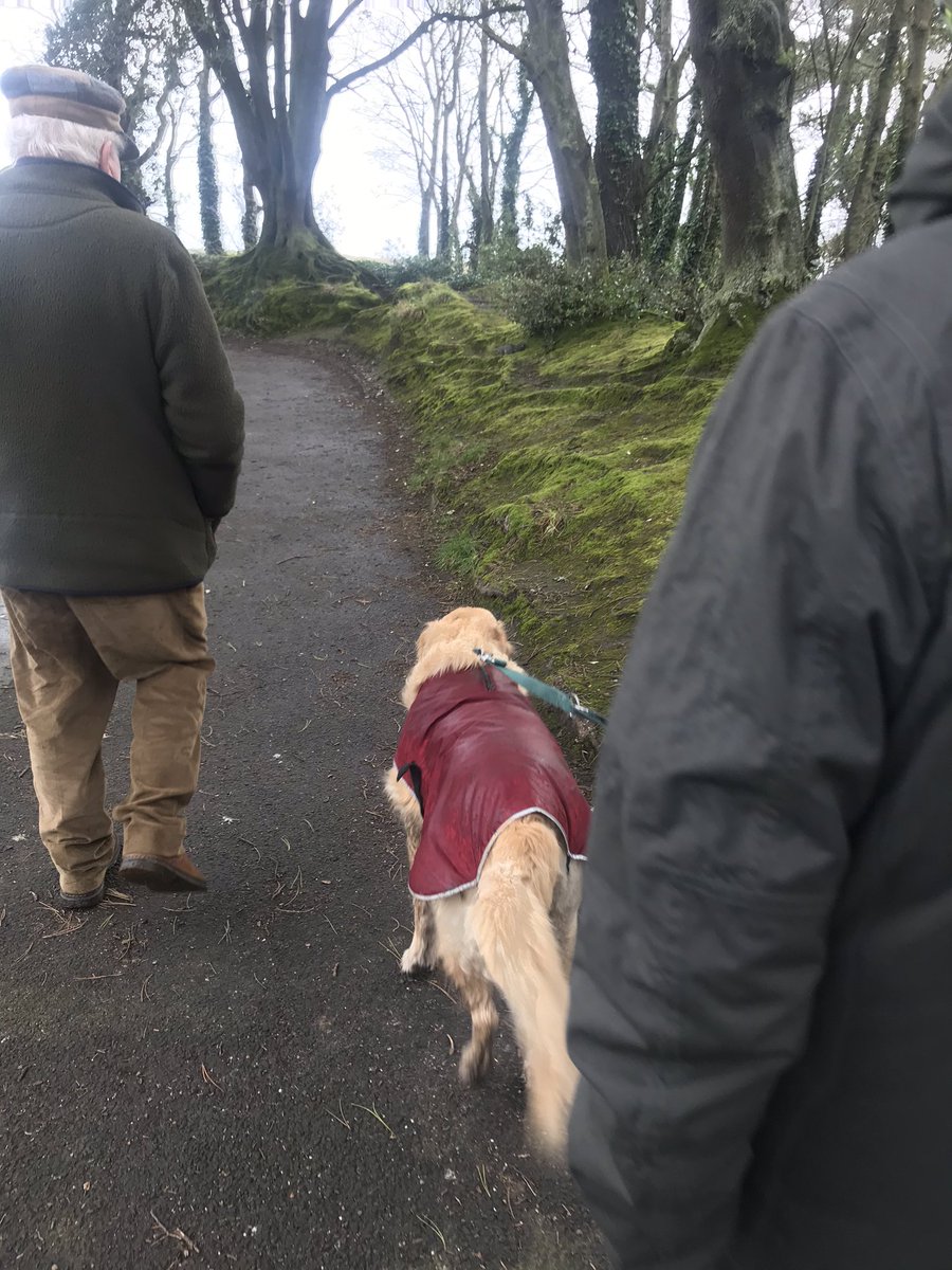 roisintrunk's tweet photo. #wilddayout 💨🌨💧💦🌧 https://t.co/W1vudm8vRe