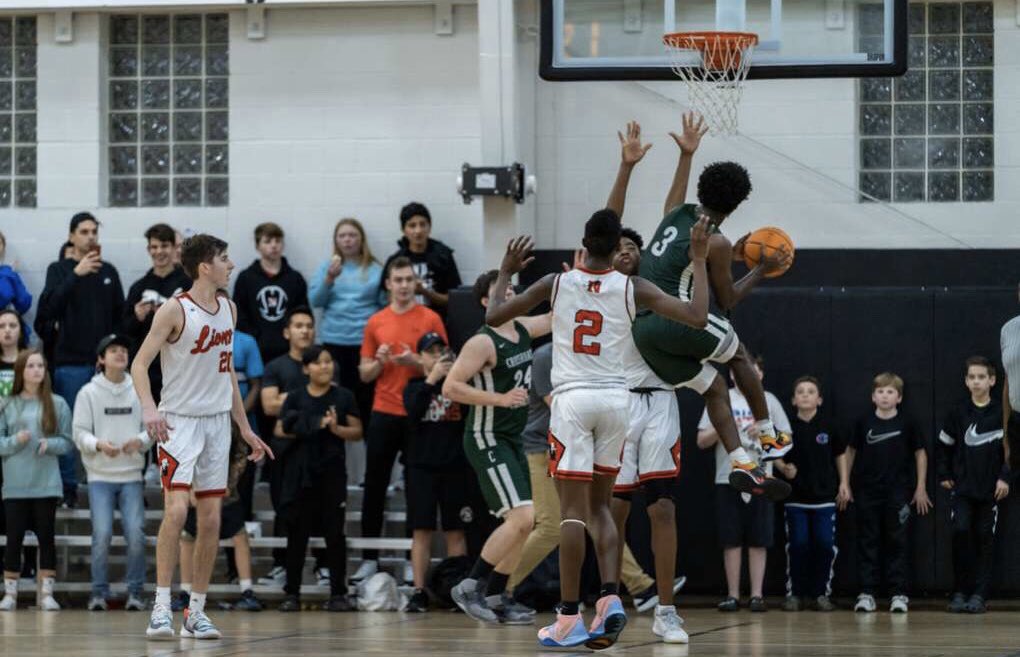 taylor bell tweet media