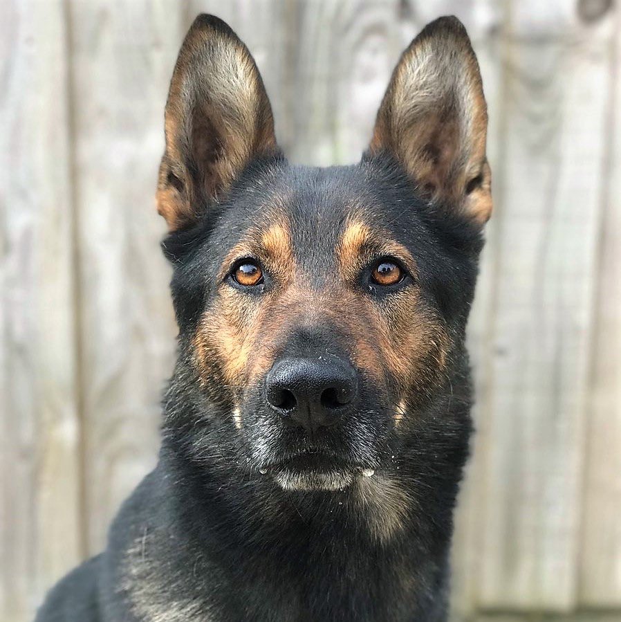 Don’t struggle in silence, the below numbers may be useful. 

❤️

📞 <a href="/SamaritansCymru/">Samaritans Cymru</a> 116123
📞 <a href="/MindCharity/">Mind</a> 0300 1233393
📞 <a href="/CALL_247/">CALL Helpline Wales</a> 0800 132737
📞 @NHSDirectWales 0845 4647
📞 @Hafal_ 01792 816600
📞 <a href="/BipolarUK/">Bipolar UK</a> 0333 3233880
📞 <a href="/weareplatfform/">Platfform</a> 01656 647722

^cy