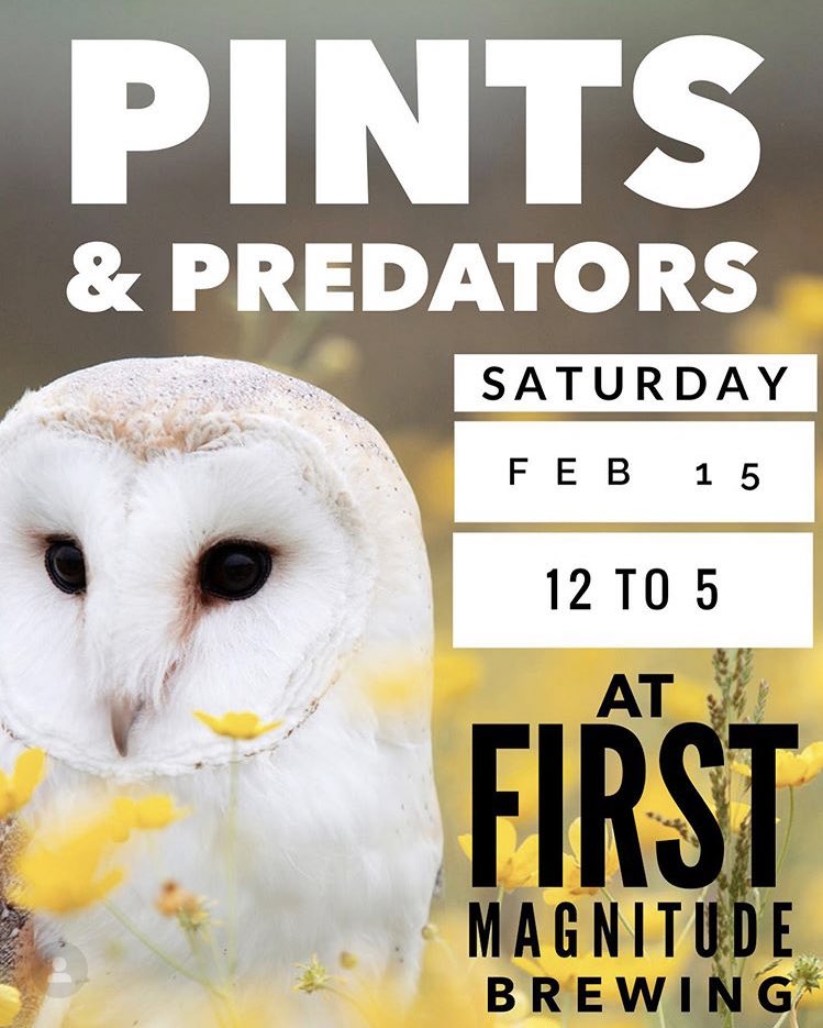 BatConservancy's tweet photo. If you’re in Gainesville today stop by #PintsandPredators at @fmbrewing! There will be many fun wildlife vendors meet &amp; animals to see, even bats from Lubee! Monies raised today will be donated to local wildlife/conservation facilities. (1/2) https://t.co/IRtwwqbhGU