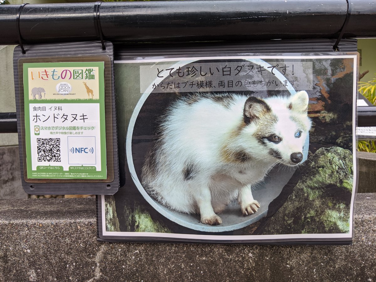 楽運犬 1枚目左の Qr を読み取ると スマホなどからより詳細な動物の情報 2枚目 が見られる これはタヌキ舎以外も完備 わんぱーくこうち