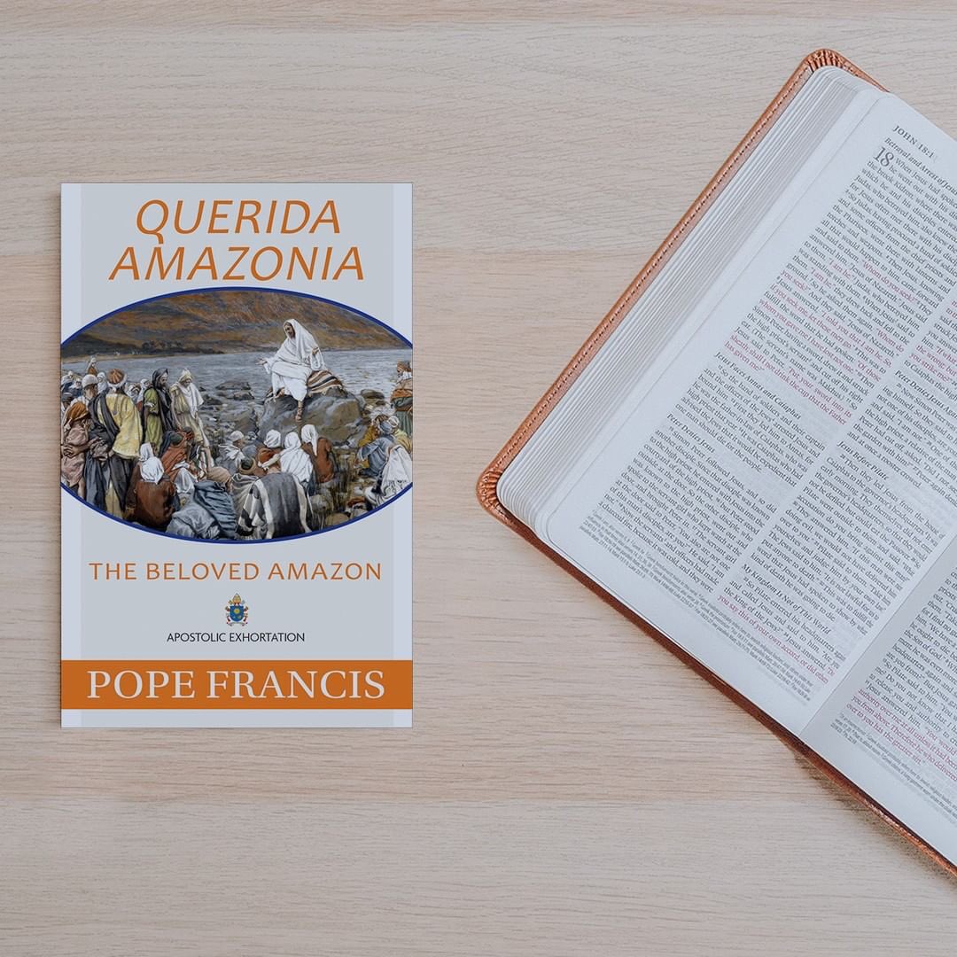 catholicsreads's tweet photo. Querida Amazonia
The pope writes this exhortation to all the faithful calling us to the task of addressing the serious social, environmental, and spiritual issues facing the region.
#catholic #popefrancis #apostolicexhortation #environment #queridaamazonia #catholicreads https://t.co/GZ7mt0TFjE